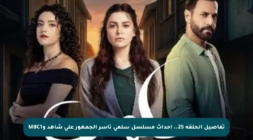 تفاصيل الحلقة 25.. أحداث مسلسل سلمى تأسر الجمهور على شاهد وMBC1